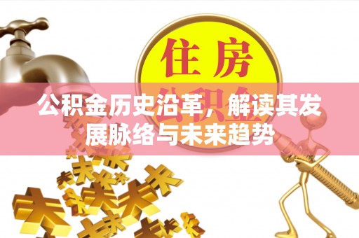 枋寮公积金历史沿革，解读其发展脉络与未来趋势