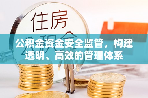 枋寮公积金资金安全监管，构建透明、高效的管理体系