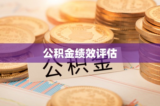 枋寮公积金绩效评估