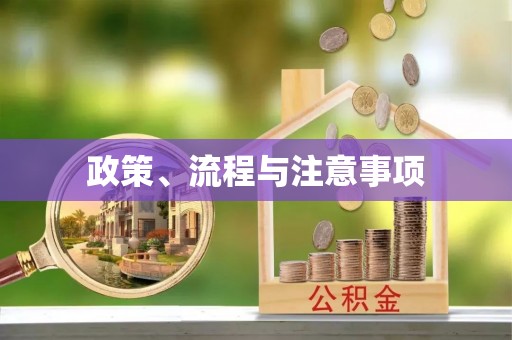 枋寮政策、流程与注意事项