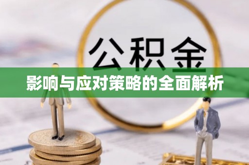 枋寮影响与应对策略的全面解析